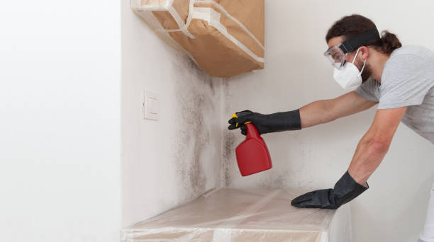 Professional Bathroom Mold Removal technician working in Hamilton, VA