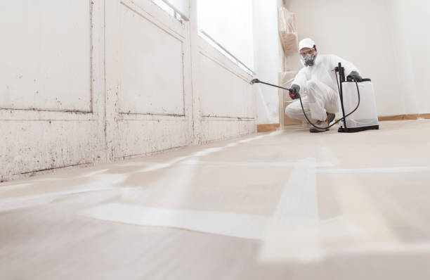 24/7 Emergency Bathroom Mold Removal experts in Hamilton, VA
