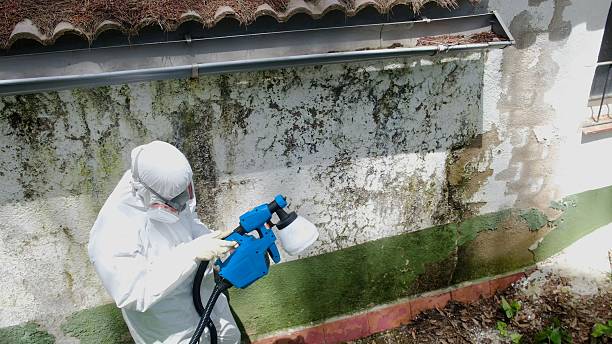 Top rated local Bathroom Mold Removal specialists in Hamilton, VA